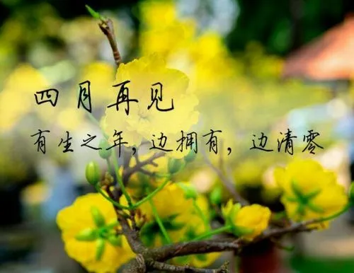 告别四月
