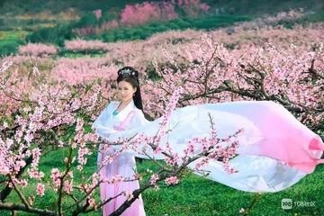 【经典推荐】唐治云步韵//佟德祥｛美女赞｝｛欣赏｝（图3）
