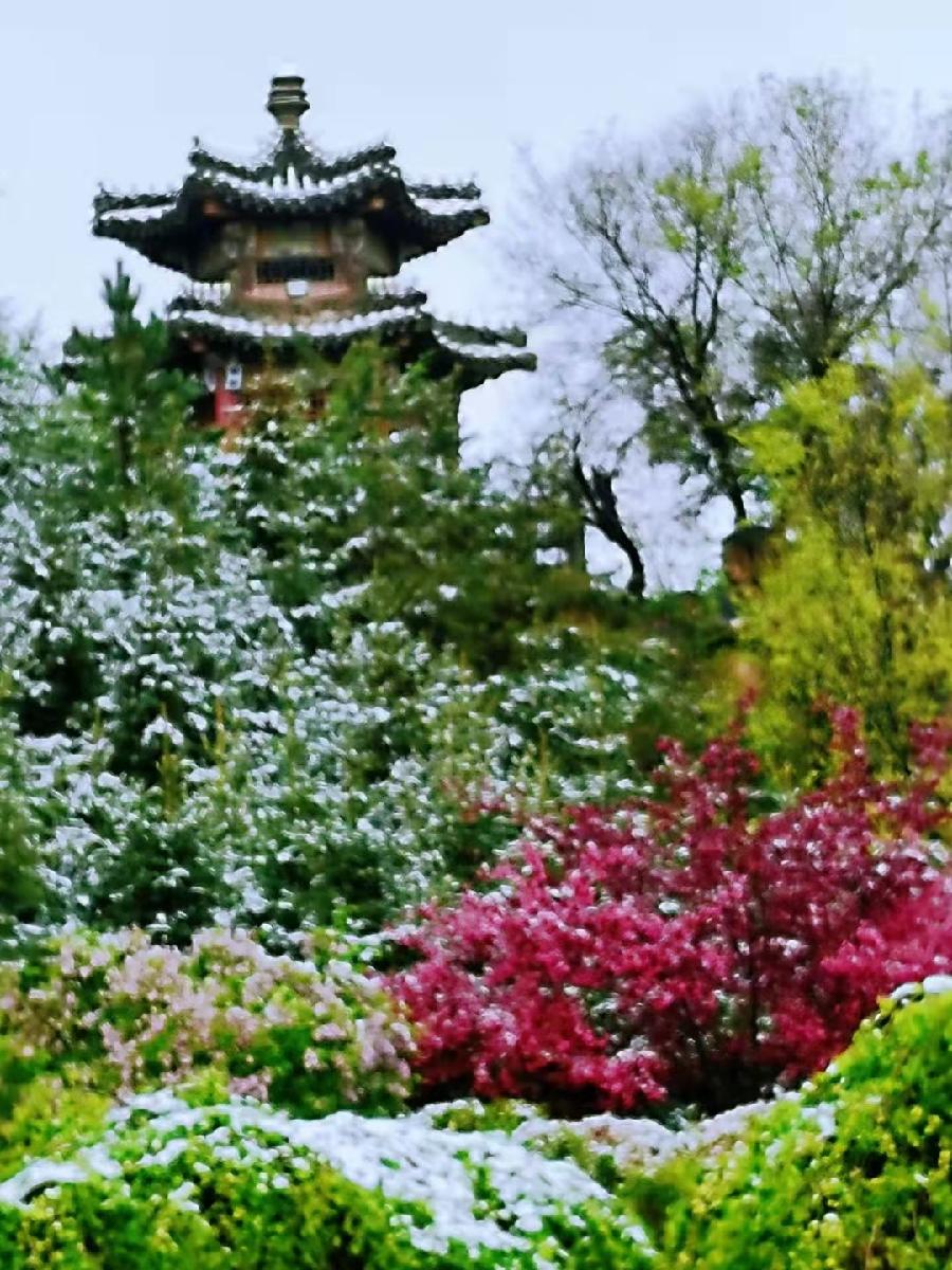 【防控疫情】贺西宁战疫告捷：文／颜宝祥（青海西宁）（图6）