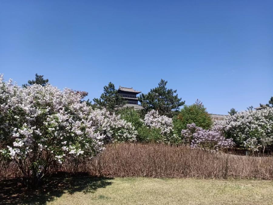 鹤祥钜献（图6）
