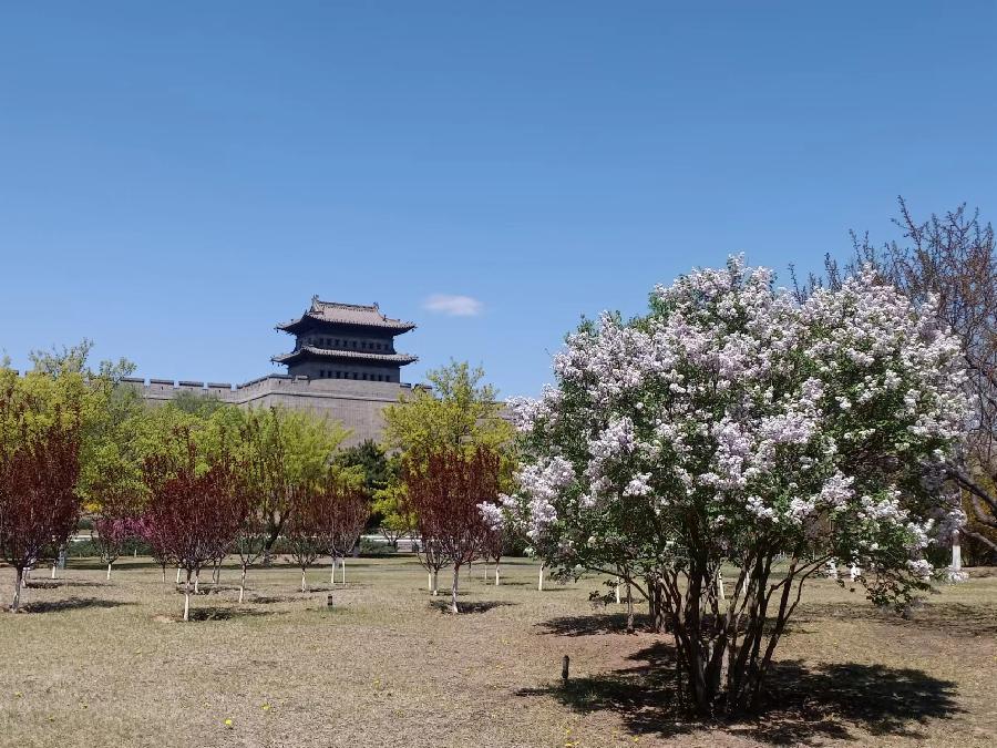 鹤祥钜献（图9）