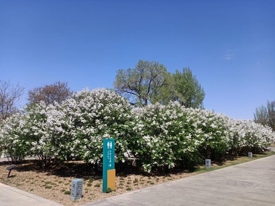 鹤祥钜献（图8）