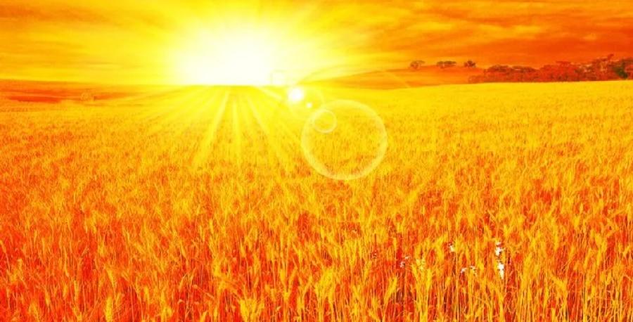 【雅诗总会】太阳/生命的锋芒‖作者:平凡（图3）