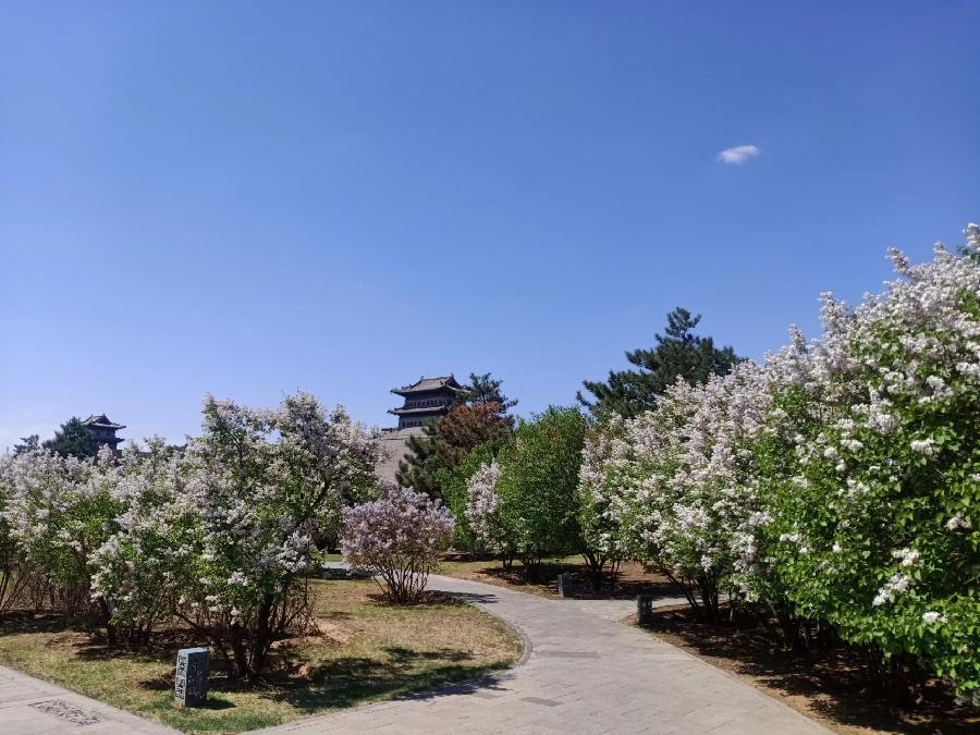 半仙吟哦（图2）