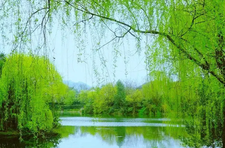 [桃源国际诗歌古韵]暮春系列|作者:马守华[总1103期]（图4）