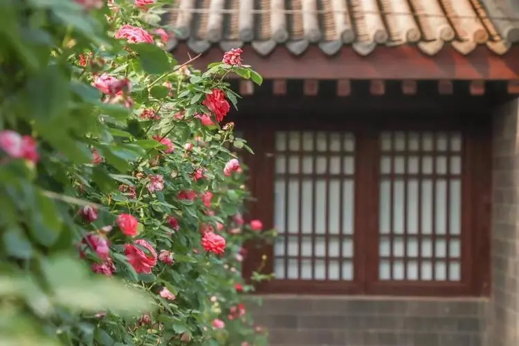 [桃源国际诗歌古韵]暮春系列|作者:马守华[总1103期]（图10）