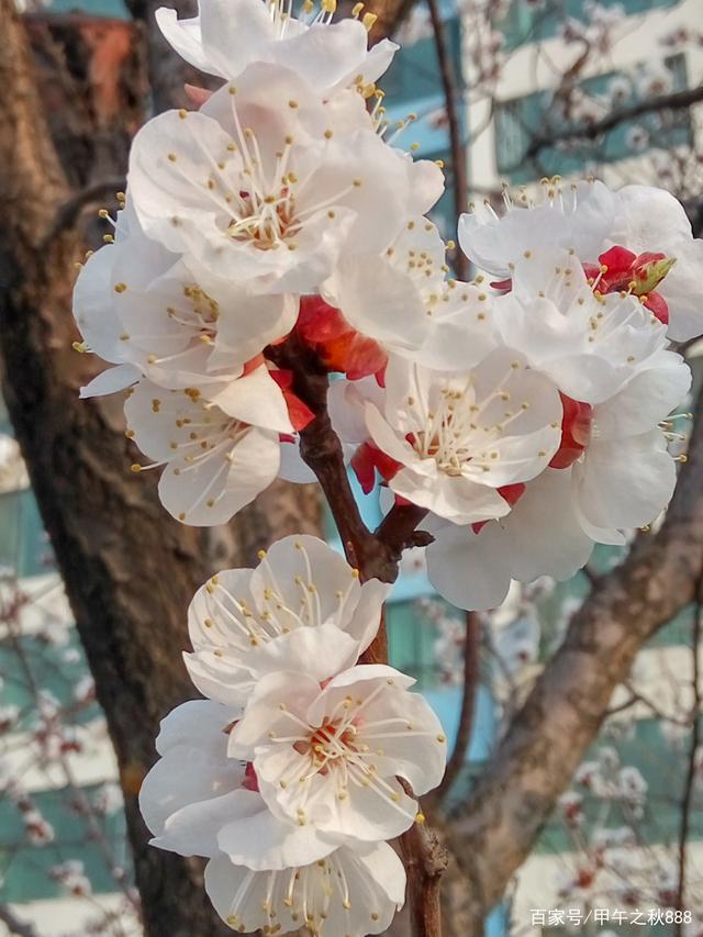 推荐【神州源流诗苑】第625期[优秀近体诗]周刊（图7）