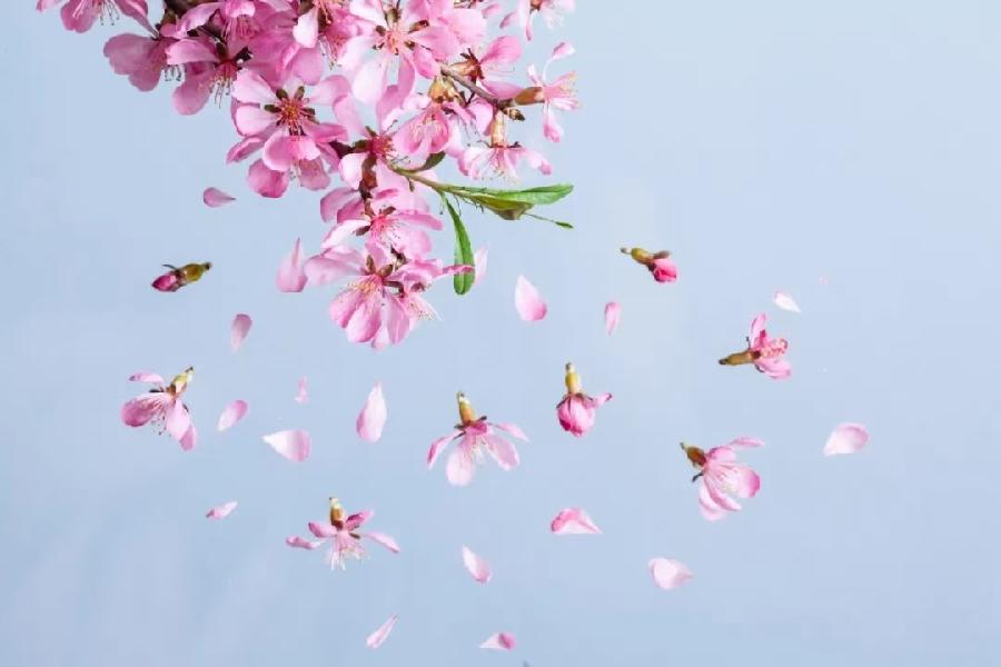 联机全球发布门玉鳯精品诗歌（图7）