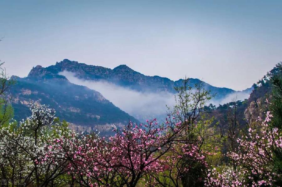 暮春有吟 平成斌（图4）