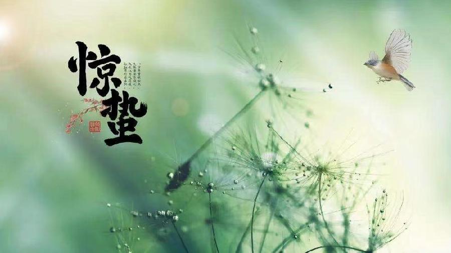 【齐鲁风】推介朱文帮组诗请欣赏(图6)