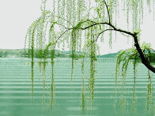 【齐鲁风】推介朱文帮组诗请欣赏(图5)