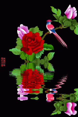 【齐鲁风】推介崔怀强《七绝•新婚祝福》请欣赏（图17）