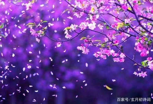 《江南诗絮-现代诗苑》(图5)
