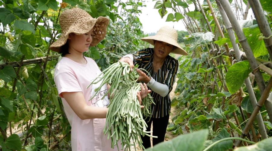 淡淡的乡愁(六)