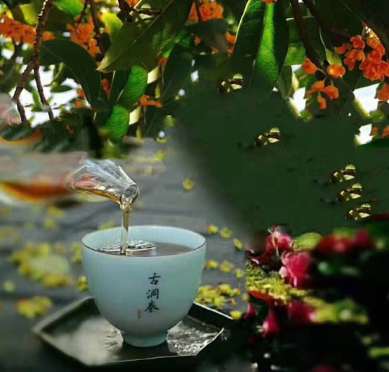【雅诗总会】精品原创★《江南风诗刊》三社看图写诗比赛(湖南古洞春农业集团冠名)(图7)