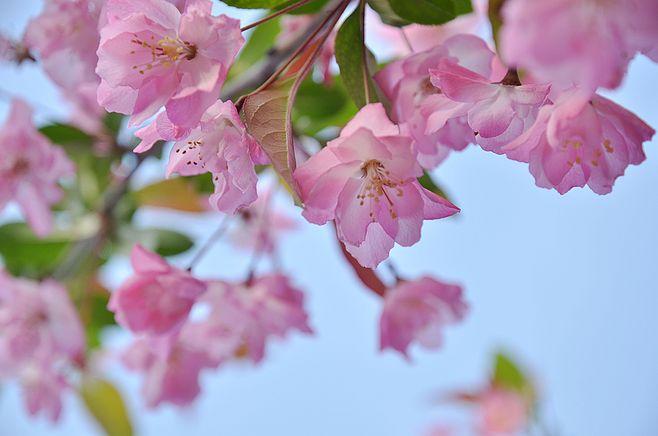推荐【神州源流诗苑】第627期[优秀现代诗]（含其他）周刊（图3）