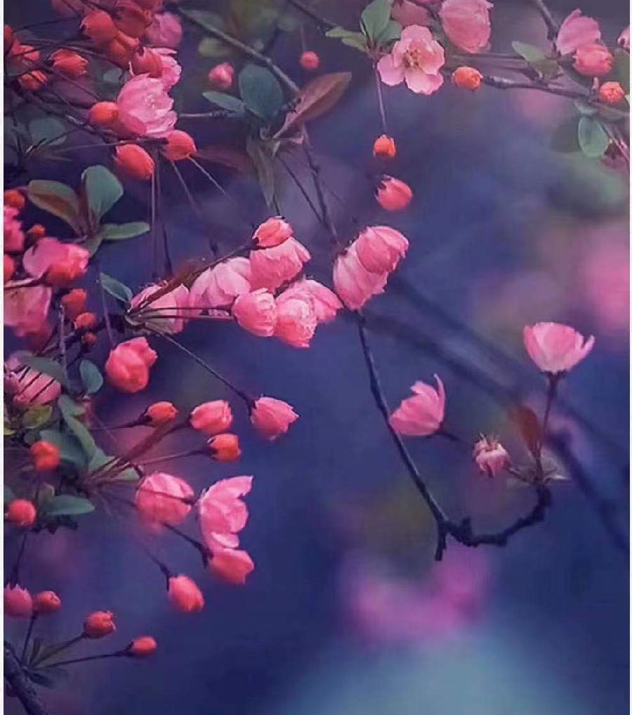 随手笔札(图3)
