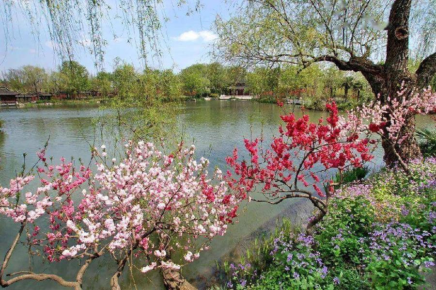 乡愁 文/笔帆墨海(图2)