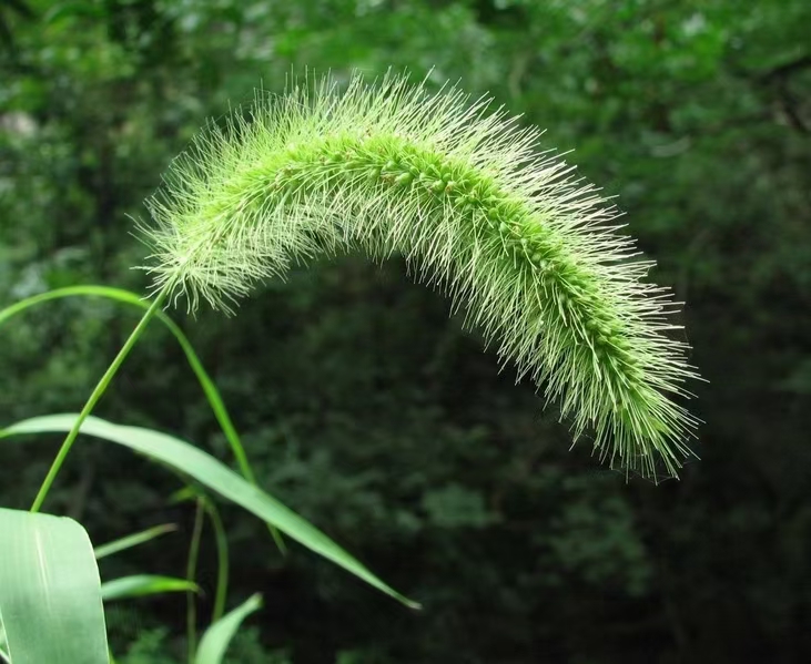 问世间情为何物