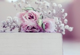 〔诗歌小辑〕文/乐道（广东）【冰心文化传媒】制作 冰心（图17）