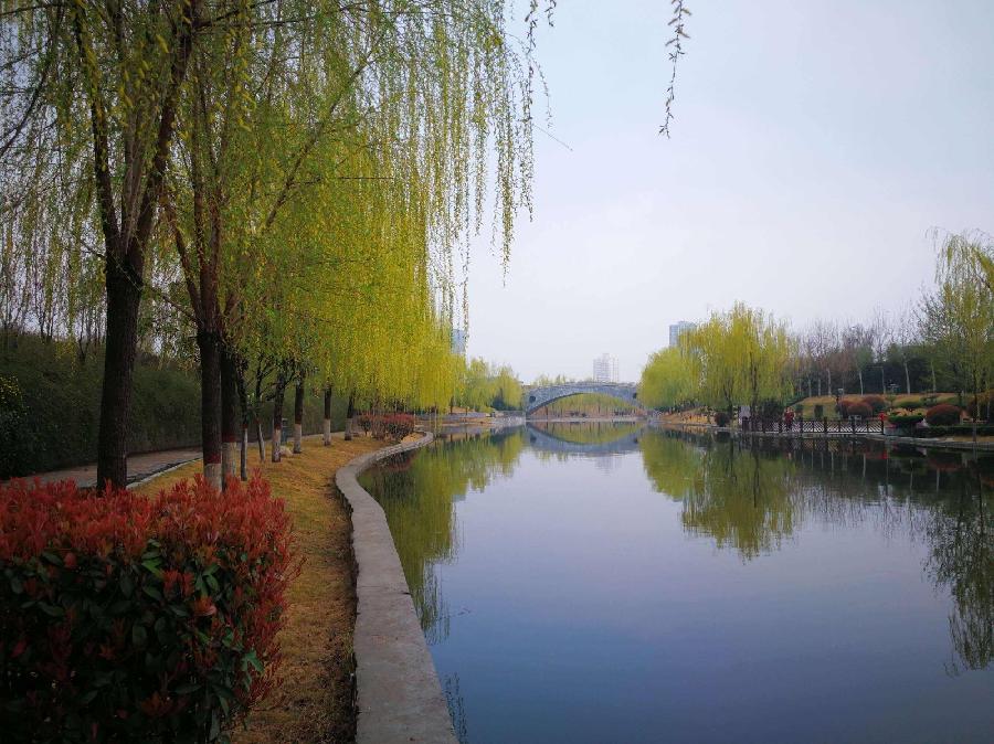 【潇湘文学社】潇湘紫竹诗社《随吟》(总332期)(图4)