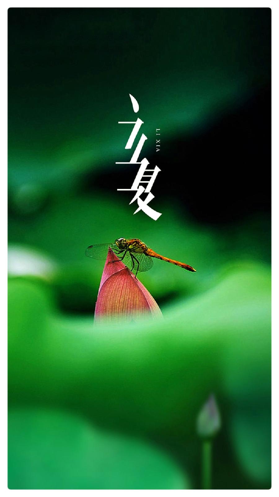 正是布谷催耕时，立夏歌传天外天ll踏莎行过长相思兼如梦令•立夏谣ll作者：白润岱 诵读：费军（图4）