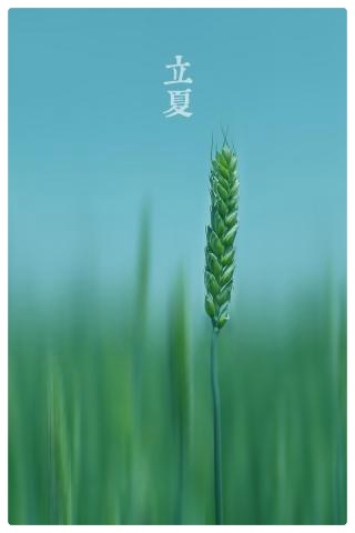 正是布谷催耕时，立夏歌传天外天ll踏莎行过长相思兼如梦令•立夏谣ll作者：白润岱 诵读：费军（图6）