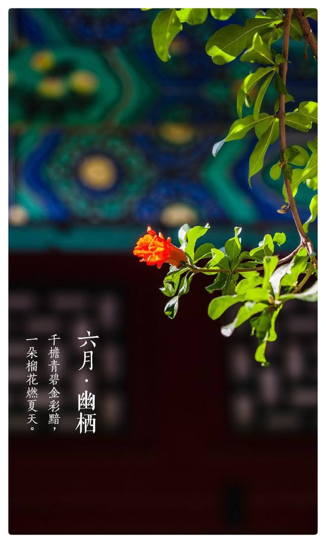 正是布谷催耕时，立夏歌传天外天ll踏莎行过长相思兼如梦令•立夏谣ll作者：白润岱 诵读：费军（图7）