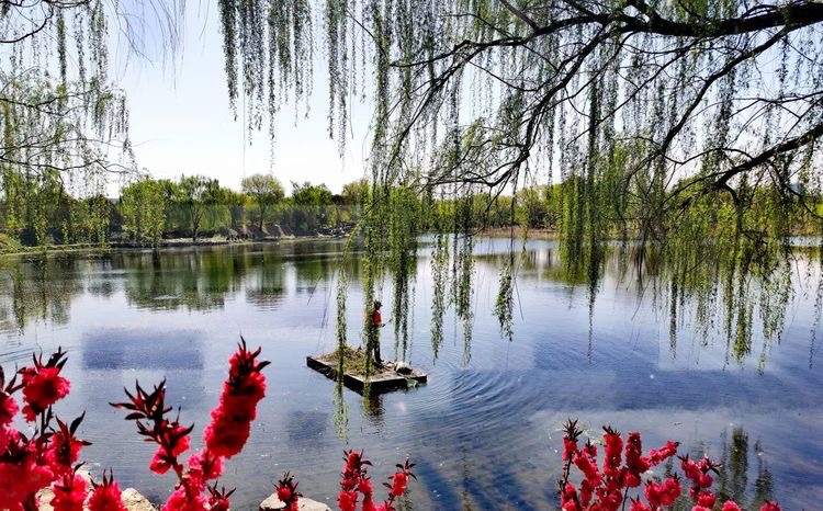 圆明园（图6）