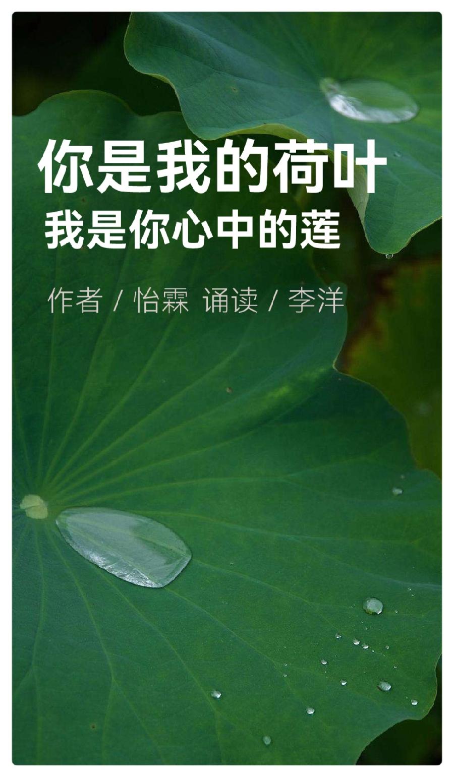 《安息吧，逝去的爱》作者：怡霖||演播艺术家李洋&播音指导江昊深情演绎（图4）