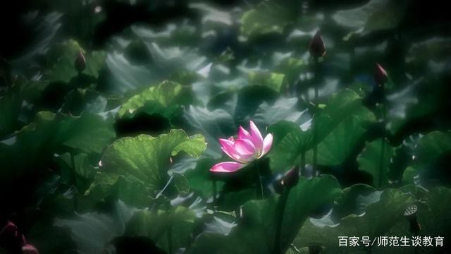 【这辈子为什么有人越长越难看】作者/王鹏博 朗诵/弘华(图4)