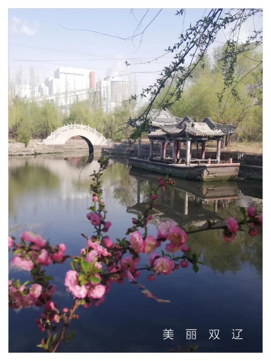 【名家专刊】【九江文学社：北京头条】王述成先生佳作欣赏（图2）