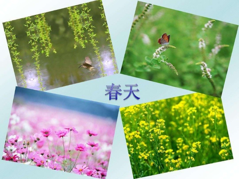 【名家专刊】【九江文学社：北京头条】王述成先生佳作欣赏（图5）