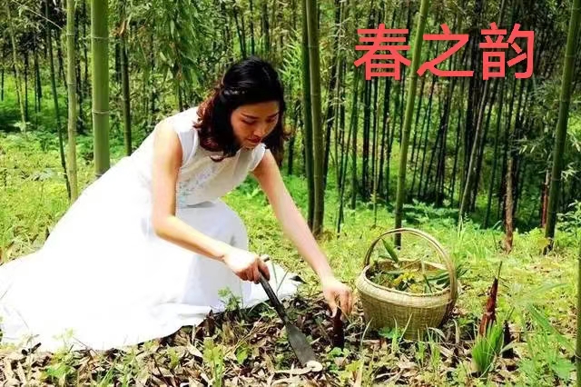 推荐|萧锦良春之韵第238期(图3)