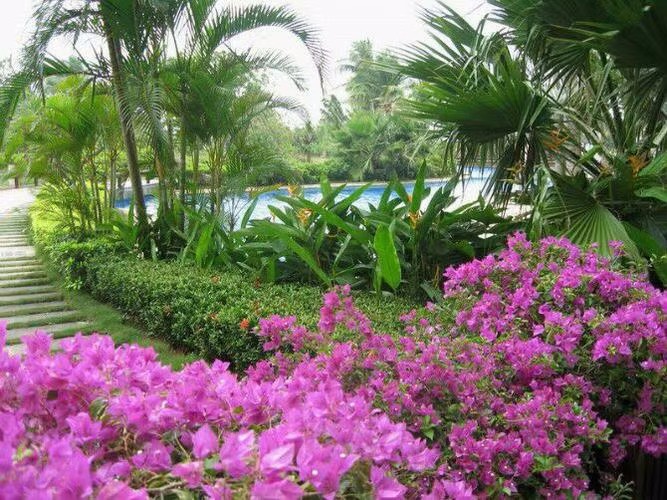 五律·立夏随想 文/兰云 京津沪头条文学平台发布