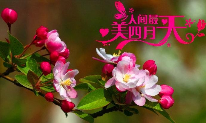 【原创】达万明//中国诗词报作品展｛七绝•四月西山｝外二首（图4）
