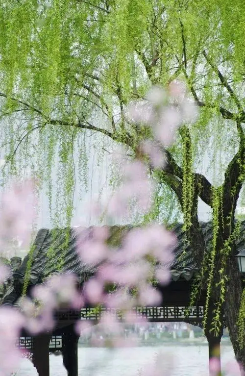 立夏吟
