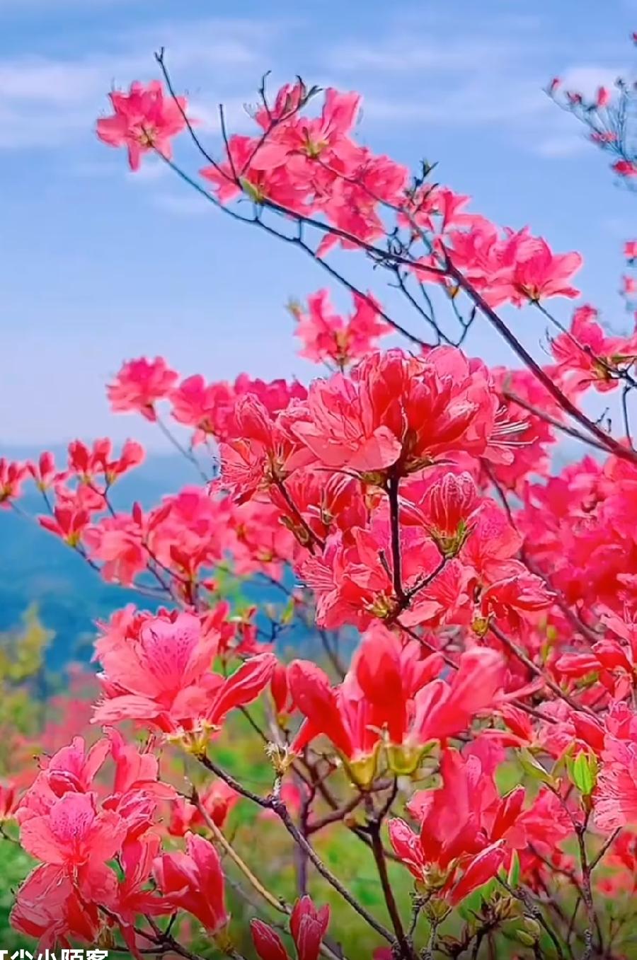 【佳作分享】方亮老师《写给“五四”青年节》请欣赏（图10）