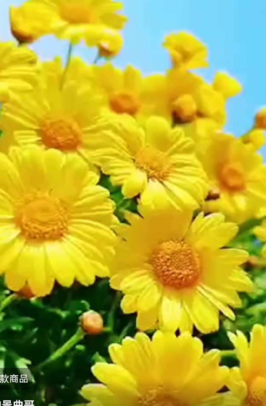 【佳作分享】方亮老师《写给“五四”青年节》请欣赏（图15）