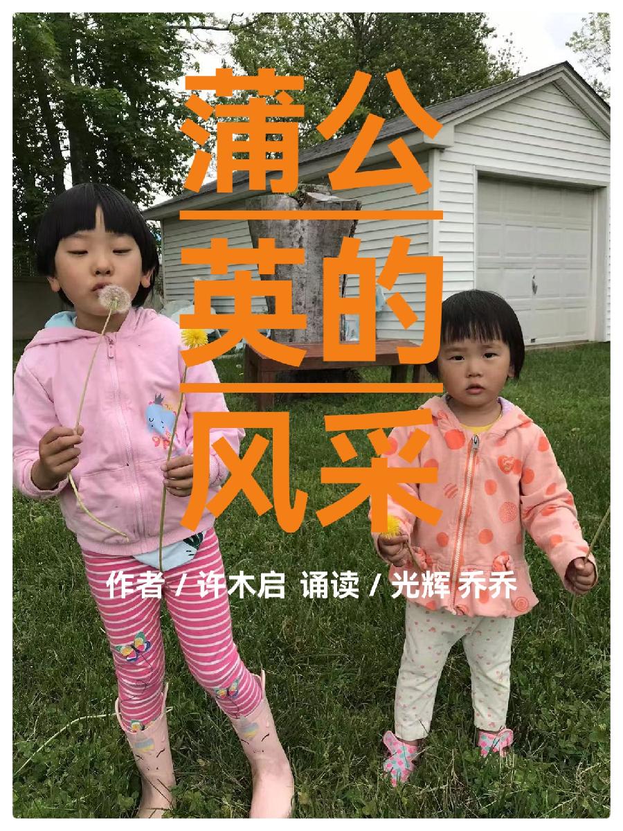 蒲公英的风采ll作者：许木启ll诵读：光辉 乔乔（图2）