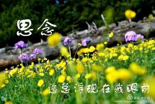【原创】吴书深//清明缅怀｛二首｝（图3）