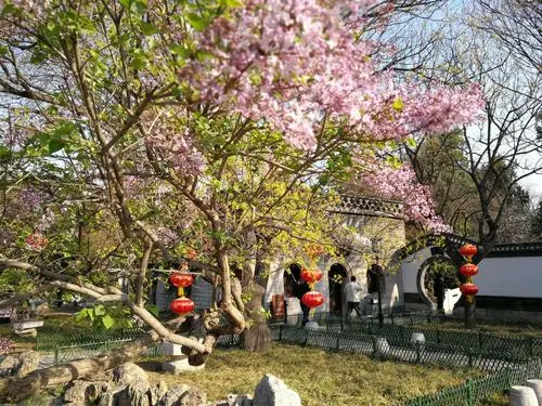 [桃源馨声]满城芳|作者:若然|主播:知语[总1105期]（图6）