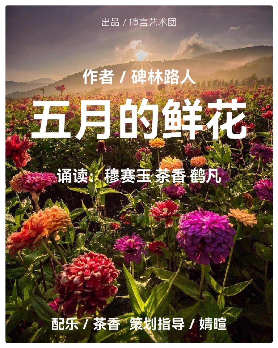 五月的鲜花ll作者: 碑林路人ll 诵读:穆赛玉 茶香 鹤凡(图3)