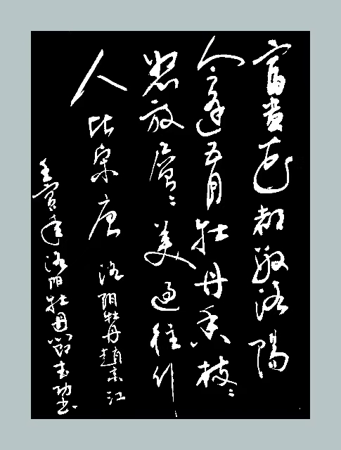 洛阳牡丹‖文图/赵京江，书法/太行山人武功