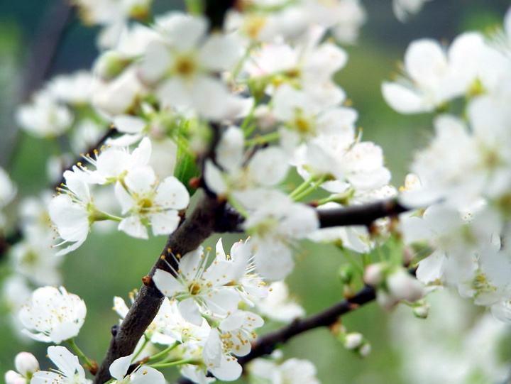 荐赏【神州源流诗苑】第631期[优秀近体诗]周刊（图8）