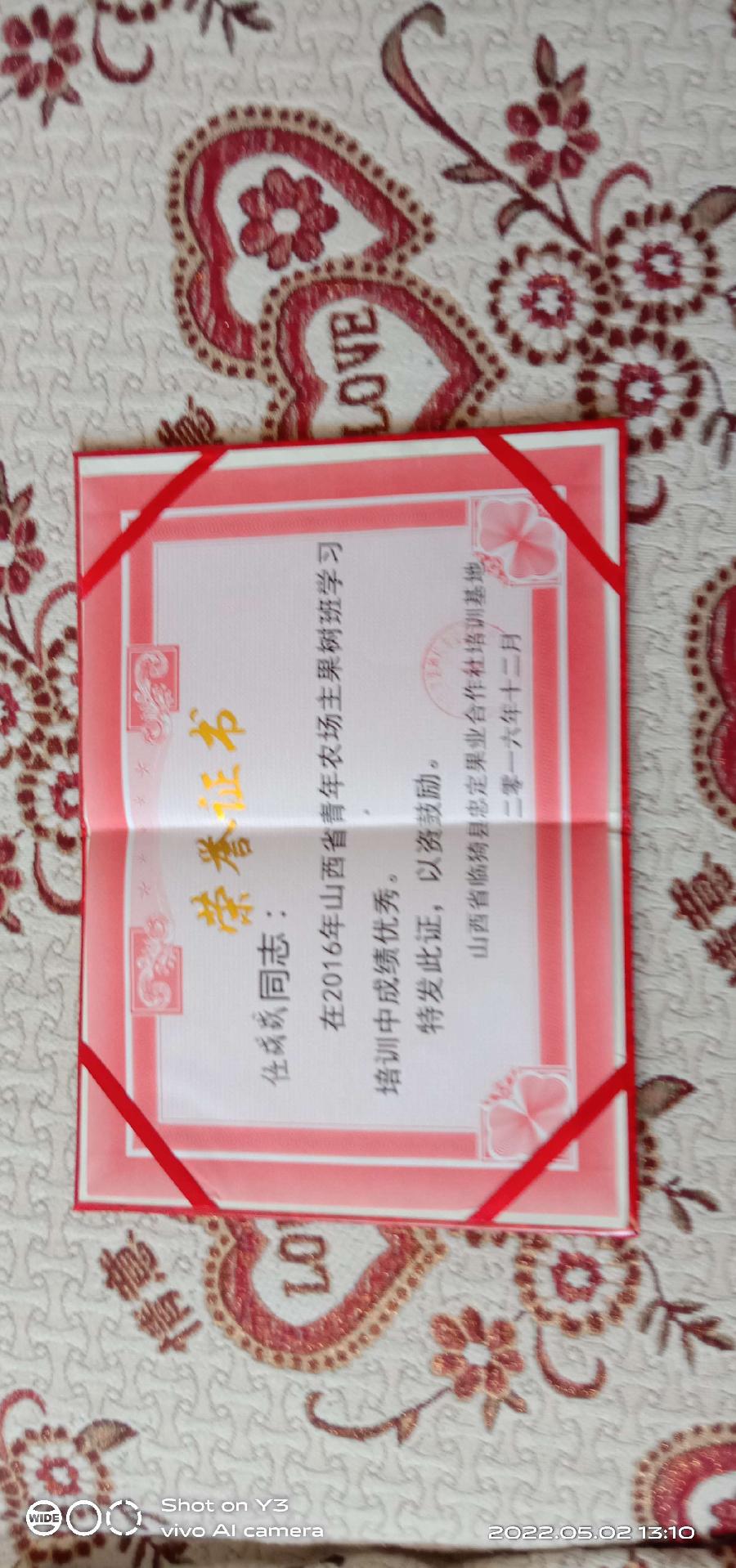任战战:一个职业农民的不懈追求(图10)