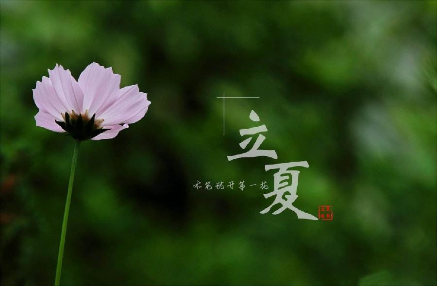 〔格律小辑〕作者 周海峰(哈尔滨）【冰心文化传媒】（图4）