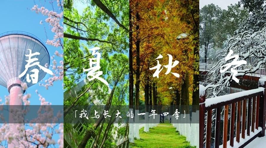 【经典推荐】姚朝文//《长大的春天》（图4）