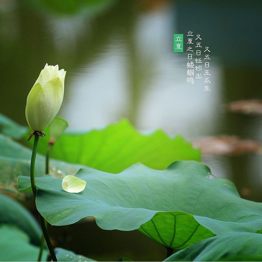 〔格律小辑〕作者 周海峰(哈尔滨）【冰心文化传媒】（图3）