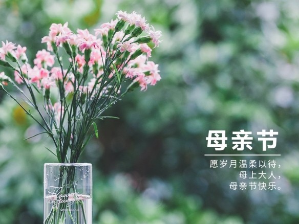 10位主播倾情演绎杨时平《那是》谨以此诗献给母亲节编辑宋梅【中国长江文学社】有声文学平台第3714期（图7）